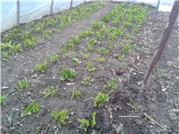 87aa8dfb-2017-03-15 17.17.06.jpg